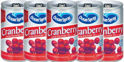 Amazon: Ocean Spray Cranberry Juice Cocktail 48-Pack Only $14.31 Shipped (Just 30¢ Each)