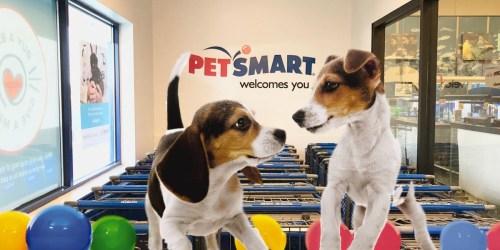 PetSmart: FREE Picture, Craft & Puppy Booklet (1/21 Only)