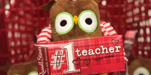 Russell Stover Teacher Valentine Chocolate Bar AND Plush Just $5 (No Coupons Needed)