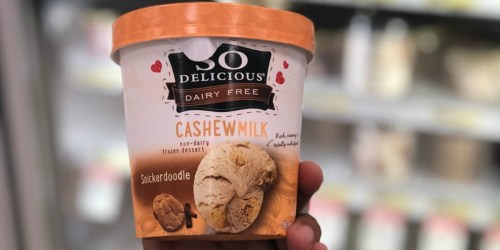 Target: TWO So Delicious Frozen Desserts Just $3 After Cash Back (Only $1.50 Each)