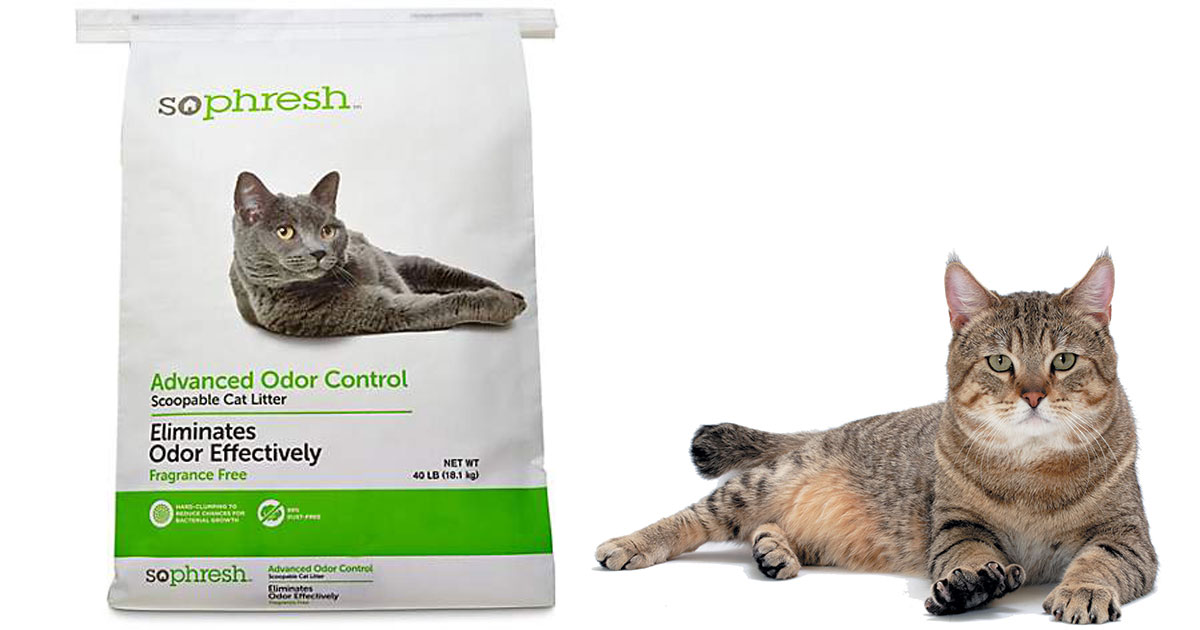 petco cat litter bags