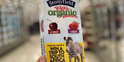 New $1/1 Stonyfield Organic Kids Coupon = YoKids Squeezers Just $1.78 at Target (Regularly $4)