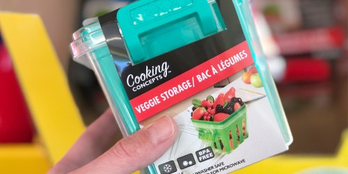 Dollar Tree: Reusable Veggie Storage Containers, Beauty Organizer & More ONLY $1 Each