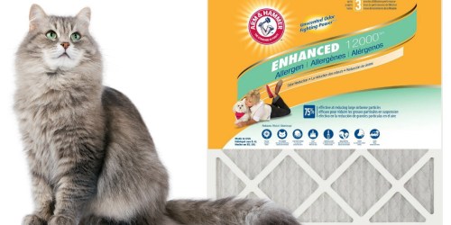 Home Depot: Arm & Hammer 12-Pack Air Filters Just $54.99 Shipped (Only $4.58 Per Filter)