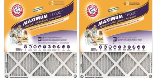 Home Depot: Arm & Hammer Protect Plus Air Filter 4-Pack ONLY $16 (Just $4 Each)