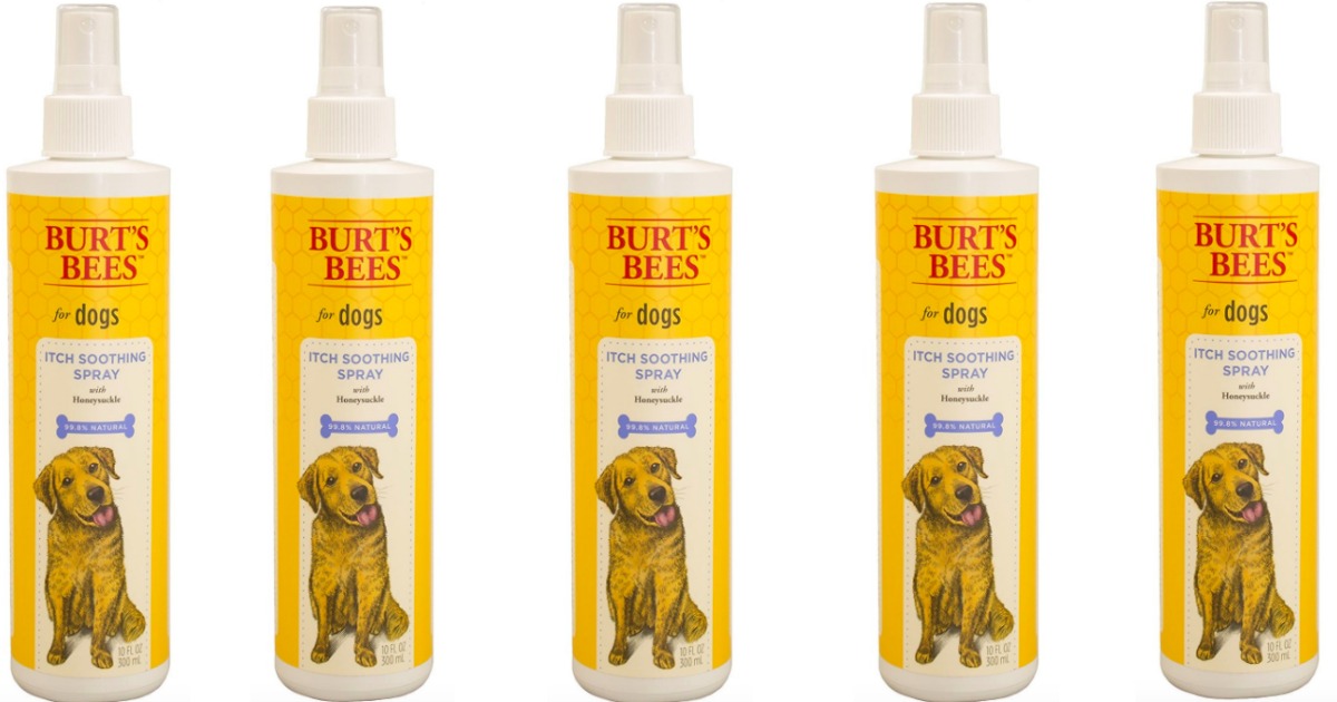 Amazon: Burt's Bees For Dogs Itch Soothing Spray Only $3.03 (Regularly $9)