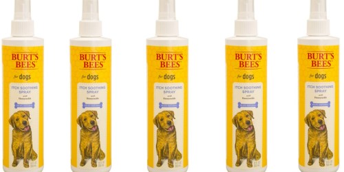 Amazon: Burt’s Bees For Dogs Itch Soothing Spray Only $3.03 (Regularly $9)