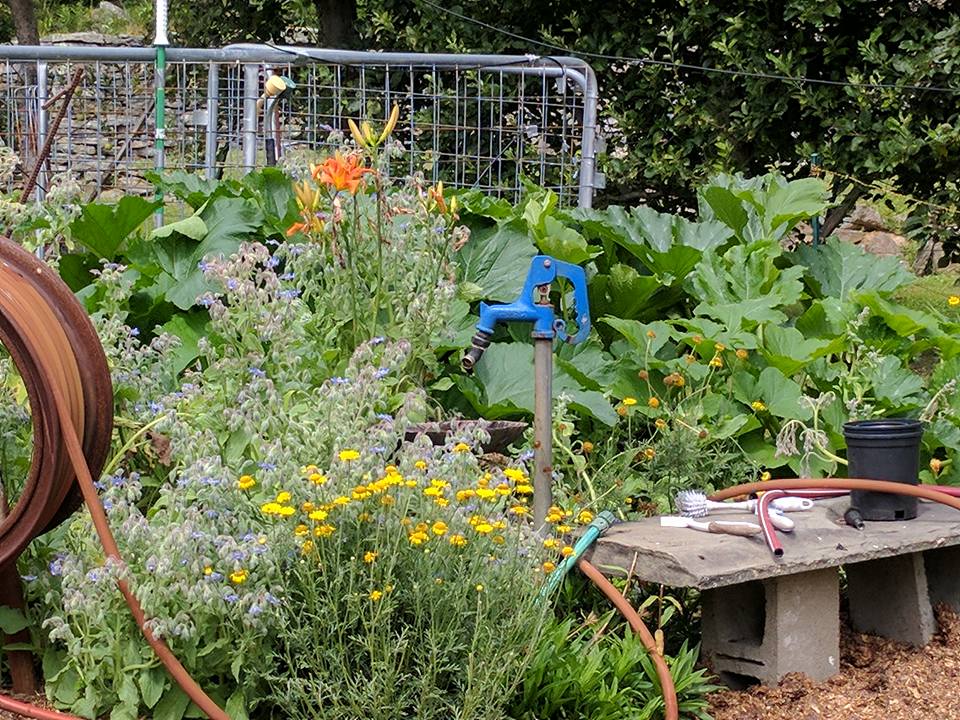 community garden for lowes 100 hometowns grant program