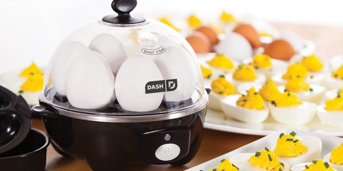 Dash Rapid Egg Cooker ONLY $16.99 on Amazon