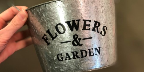 Dollar Tree Finds: Metal Flower Planters Just $1