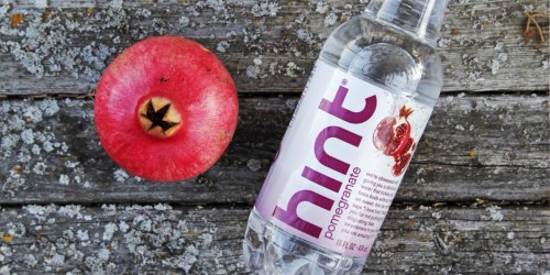 Amazon: Hint Water Variety Pack 12 Count Only $15.09 Shipped – Just 95¢ Each