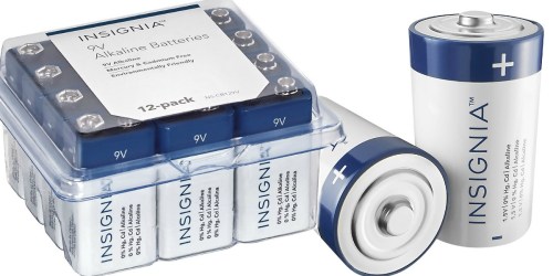 Best Buy: Insignia Batteries 12-Count Just $5.39 (9V, C, D & More)