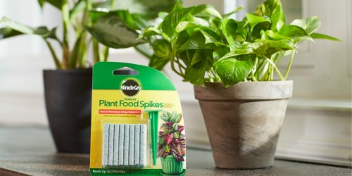 Amazon: Miracle-Gro Indoor Plant Food Spikes 48 Count Just $1.97 (Regularly $7)