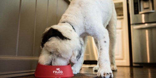Up to 45% Off Nulo Dog & Cat Dry Food at Amazon