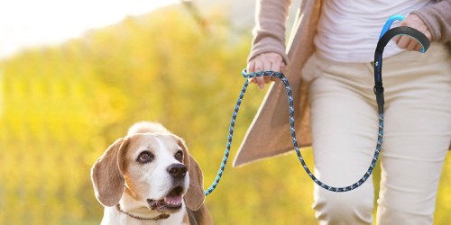 Amazon: Paw Lifestyles 6 Foot Heavy Duty Leash Rope Only $1.99 (Regularly $10)