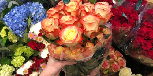 TWO Dozen Whole Foods Market Roses ONLY $19.99 For Amazon Prime Members (Starts 2/7)