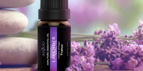 Amazon: Anjou Aromatherapy Oils Basic Sampler Gift Kit Only $10.99 – Includes 6 Essential Oils