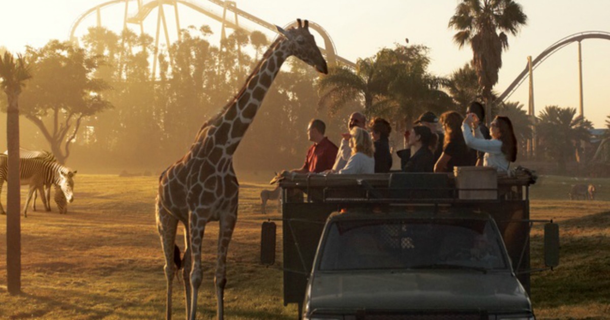 Up To 40 Off Multi Park Tickets To Seaworld Orlando Busch