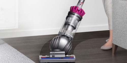 Amazon: Dyson Ball Animal Refurbished Vacuum + Bonus Tools Only $230 Shipped (Regularly $389)