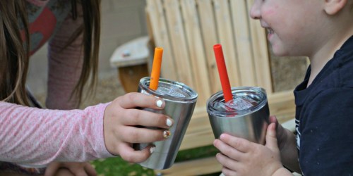 Amazon: TWO Stainless Steel Cups with Lids & Straws Only $11.99 (Great for Kids)