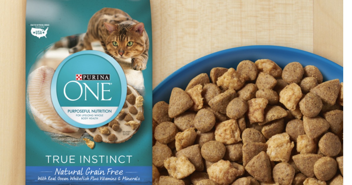 Free Purina One Cat Food Sample