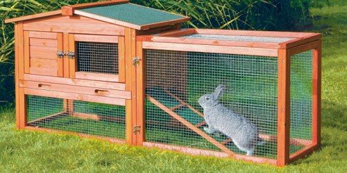 Amazon: Trixie Rabbit Hutch w/ Outdoor Run Only $89.86 Shipped (Great for Guinea Pigs Too)