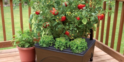Earth Resin Raised Garden Bed UNDER $20 Shipped (Perfect for Porches & Patios)