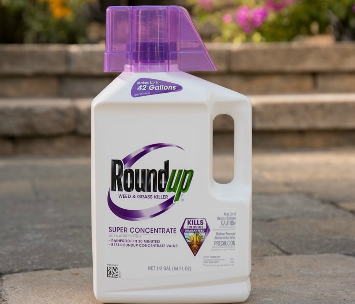 bottle of Roundup Super Concentrate Weed & Grass killer