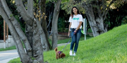 FREE 30 Minute Dog Walk with Wag App Download