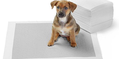 AmazonBasics Pet Training & Puppy Pads 40-Count ONLY $5.72 Shipped (Regularly $13)