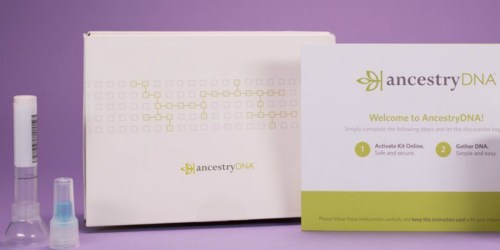 AncestryDNA Genetic Ethnicity Test Just $59 (Regularly $99) | Thousands of 5-Star Reviews