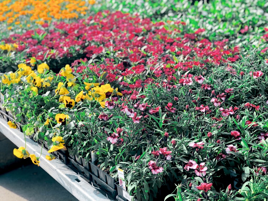 The Home Depot Spring Black Friday Sale is Here Save on Plants, Mulch