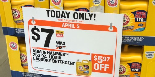 Large Arm & Hammer Laundry Detergent 255oz ONLY $7 at Home Depot