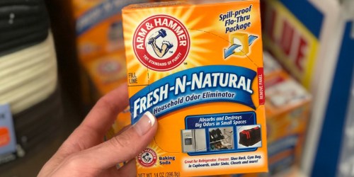 Arm & Hammer Odor Eliminator Products ONLY 75¢ at Dollar Tree