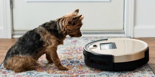 bObsweep Bob PetHair Robot Vacuum Only $189.99 Shipped (Regularly $670)