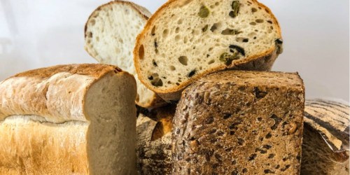 Kohl’s: Cuisinart Breadmaker Possibly Only $53.99 Shipped + Earn $10 Kohl’s Cash