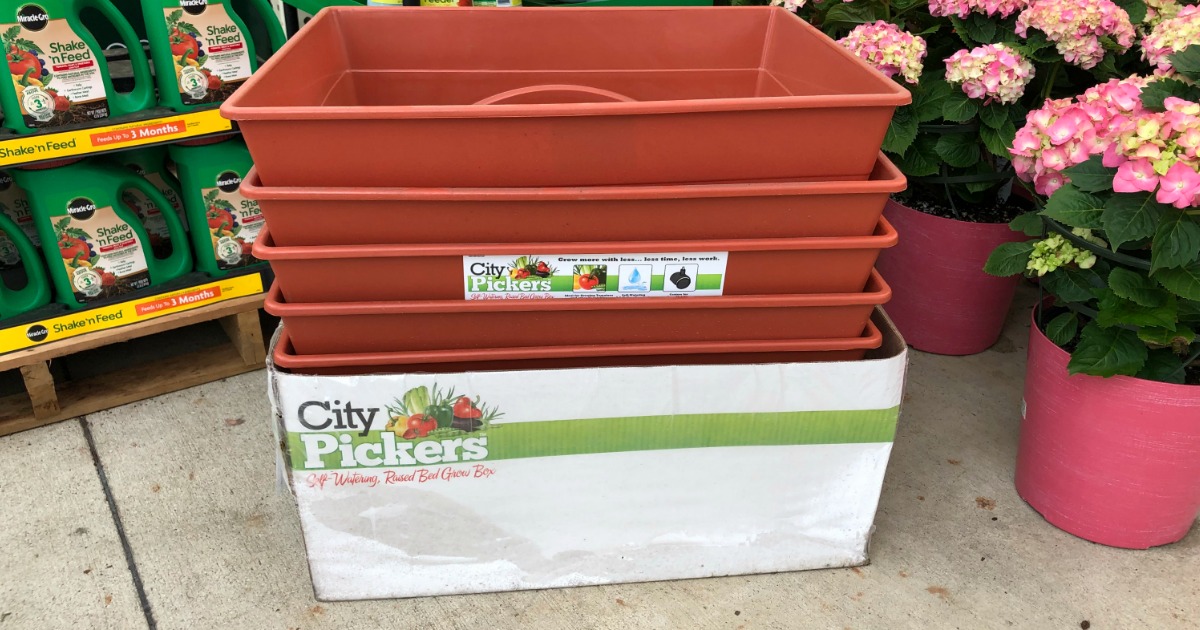 home depot city pickers patio garden kit