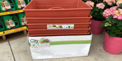 City Pickers Raised Garden Bed Grow Box ONLY $19.98 (Regularly $30) – Readers Love These