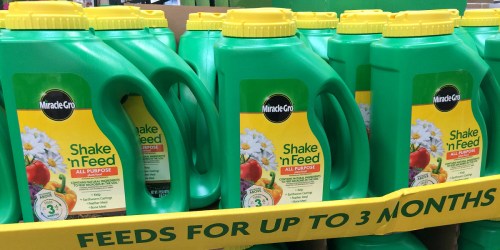 Instant Savings Costco Deals on Miracle-Gro, Planters & Beach Towels
