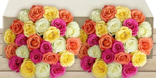 Celebrate Mom! FIFTY Roses Only $39.99 Shipped at Costco or $43.68 at Sam’s Club