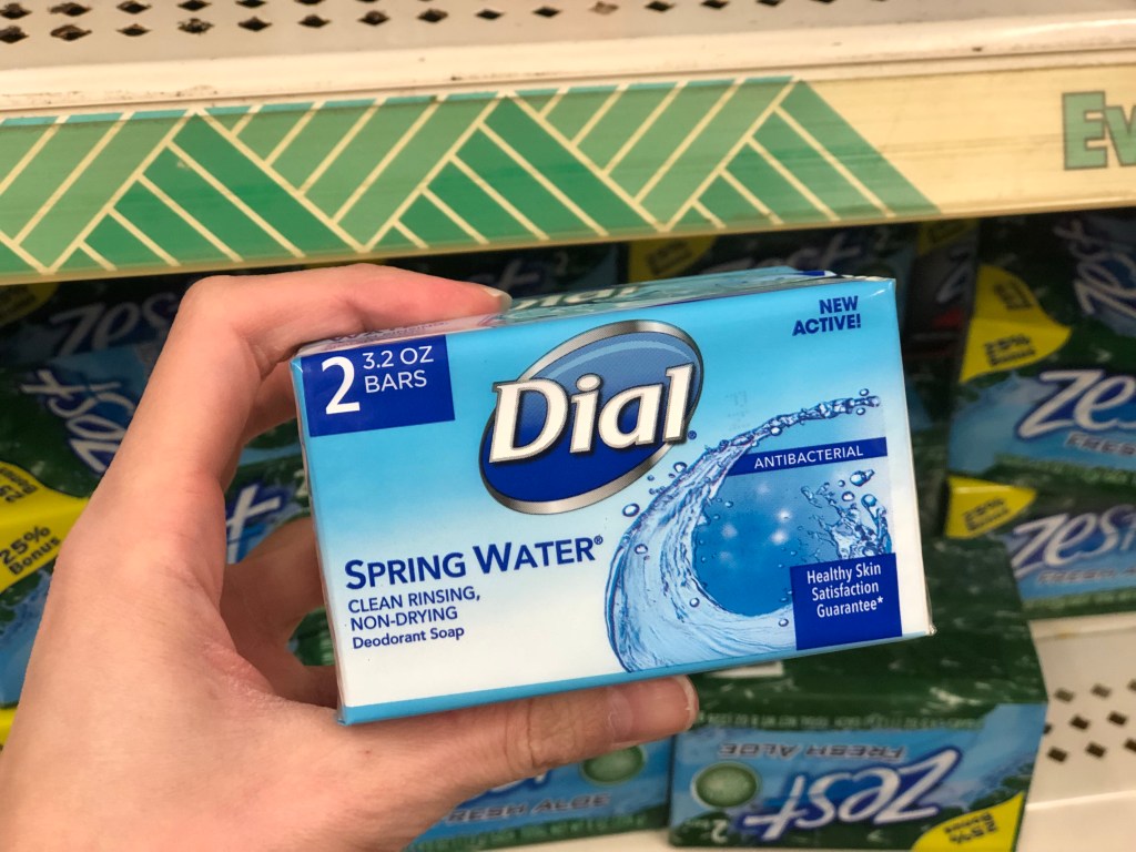 https://hip2save.com/wp-content/uploads/2018/04/dial-bar-soap-spring-water-dollar-tree.jpg?resize=1024%2C768&strip=all
