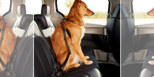 Dog Car Harness 2-Pack Only $2.99 Shipped (Regularly $20)