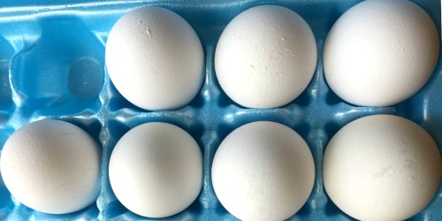 Check Your Cartons! Over 200 Million Eggs Recalled Due to Possible Salmonella Contamination