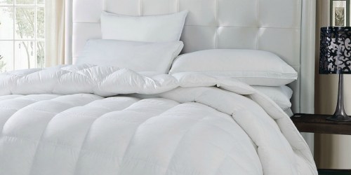 Hotel Suite Goose Down & Feather Comforter Only $50.99 (ALL Sizes) + Get $10 Kohl’s Cash