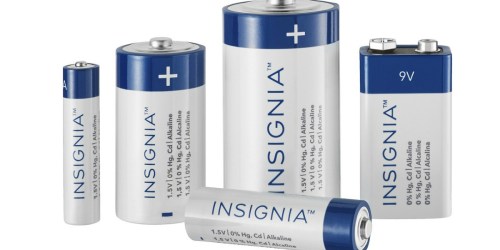 Best Buy: 33 Pack Insignia Batteries w/ Storage Box as Low as $8.09 Shipped (Regularly $17)