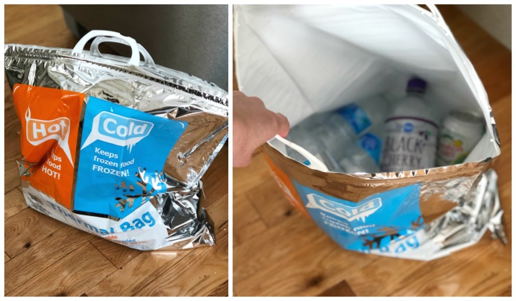 dollar tree vacation hacks insulated bags