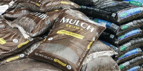 Lowe’s: Premium Hardwood Mulch ONLY $2 & More Deals