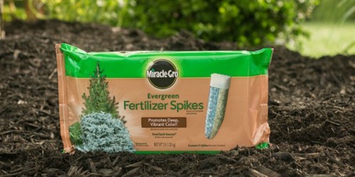 Amazon: Miracle-Gro Evergreen Fertilizer Spikes 12-Pack Only $6.82 Shipped