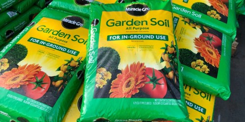 Miracle-Gro All Purpose Garden Soil Only $2.29 at Lowe’s | In-Store & Online