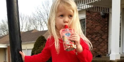 Amazon: Paw Patrol Organic Mixed Fruit Pouches 10-Count Only $8.79 Shipped – Just 88¢ Each